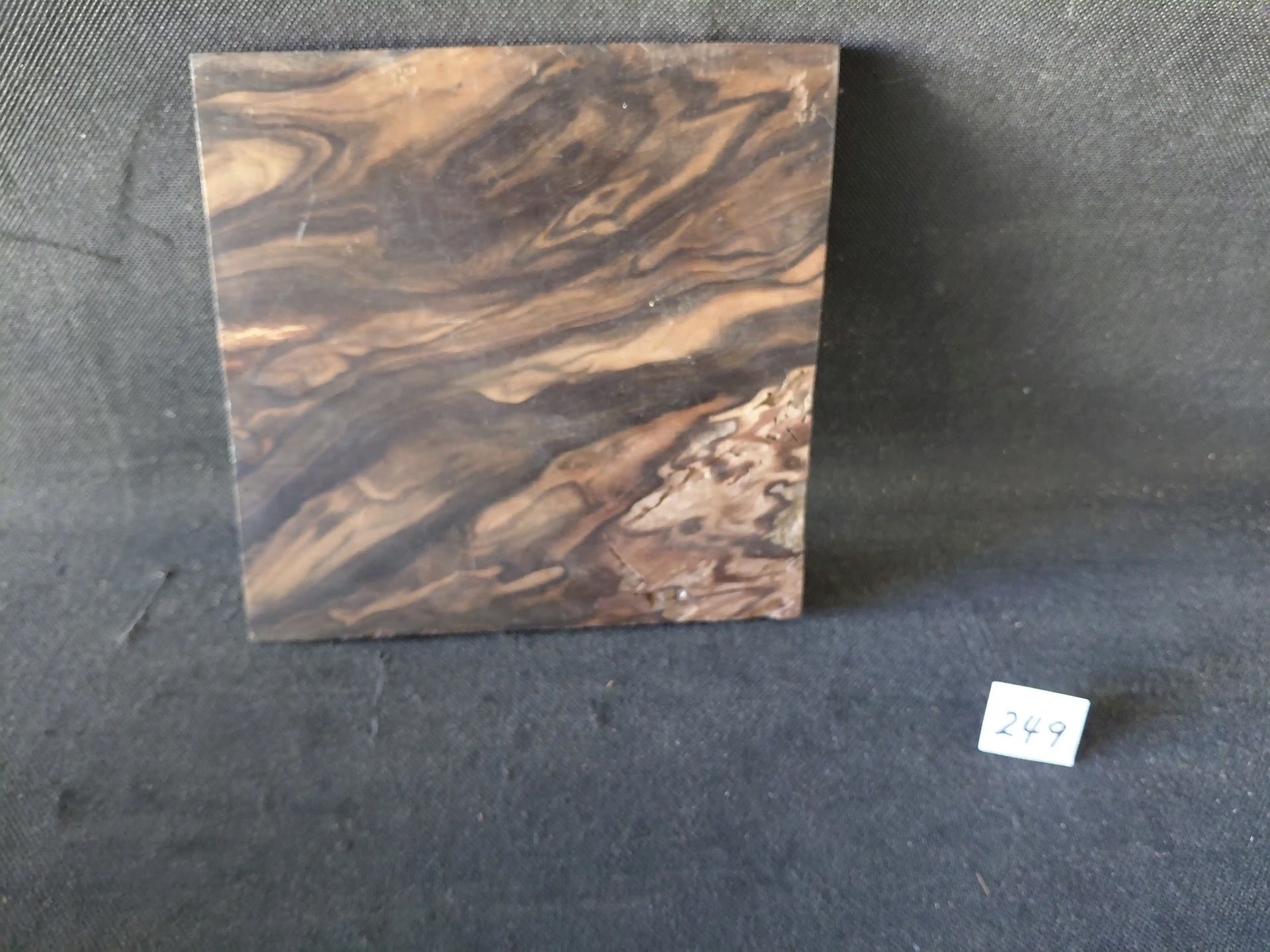 Ebony Burl - Indonesia - Cupped 
7.75