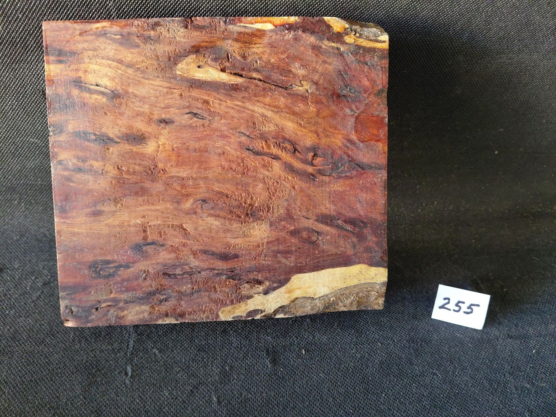 Padauk - Indonesia
6.5