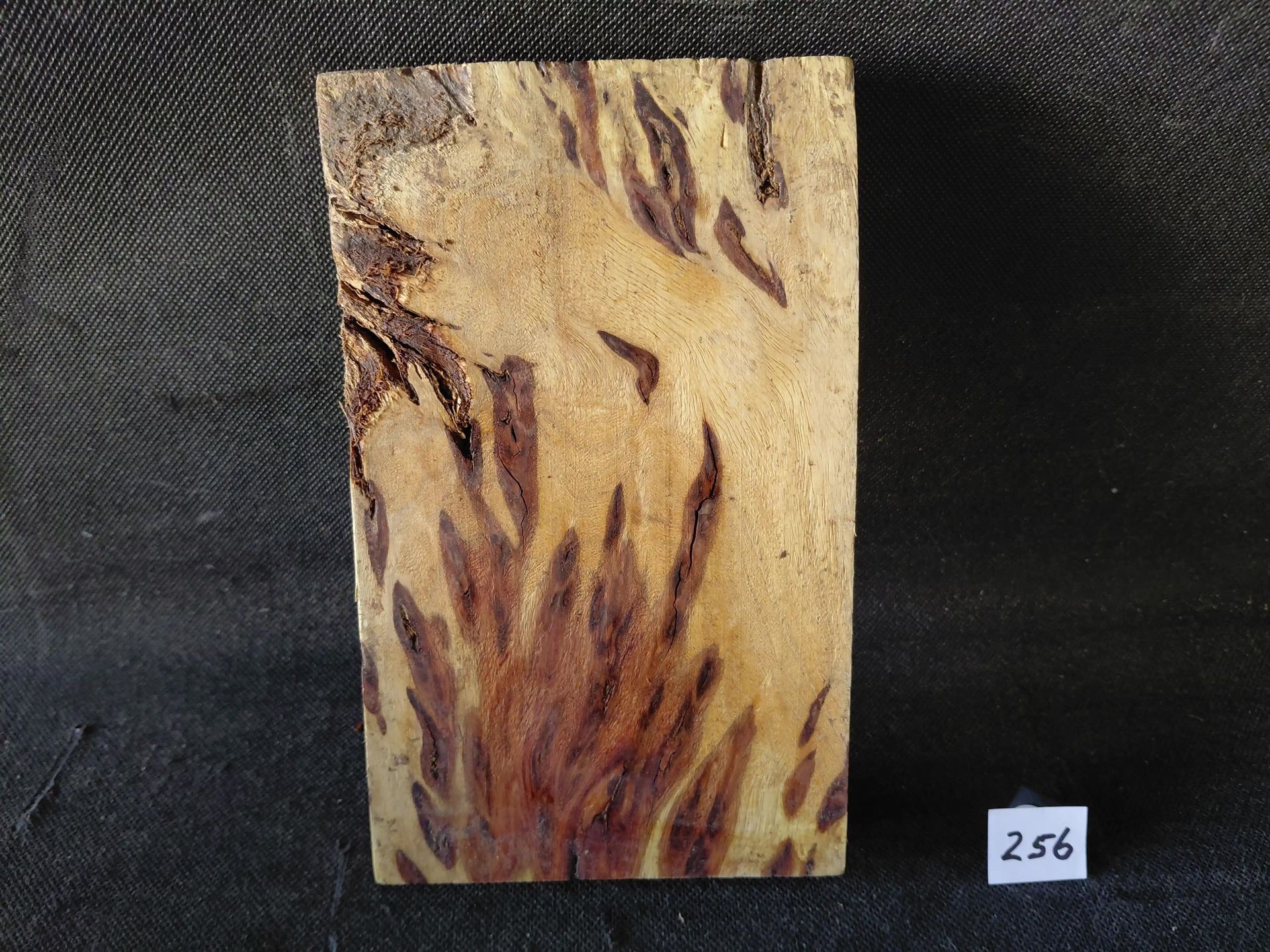 Padauk - Indonesia
8