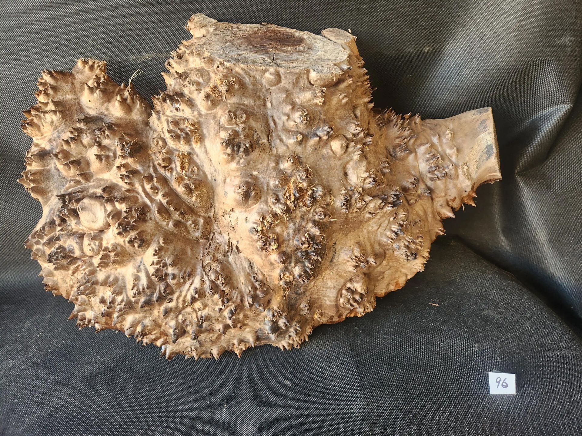 Myrtlewood Burl Cap 
22