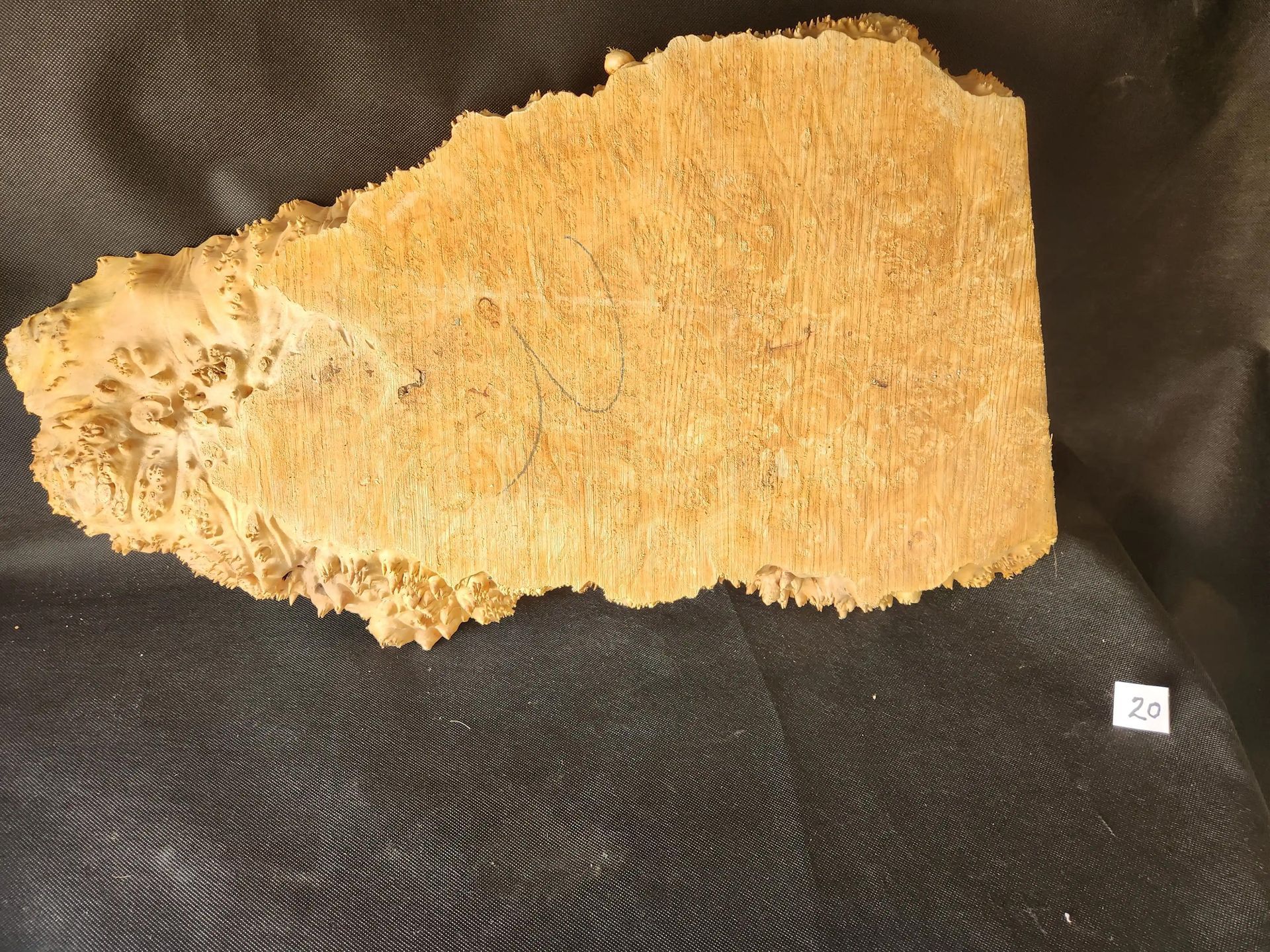 Maple Burl - Live Edge 
26