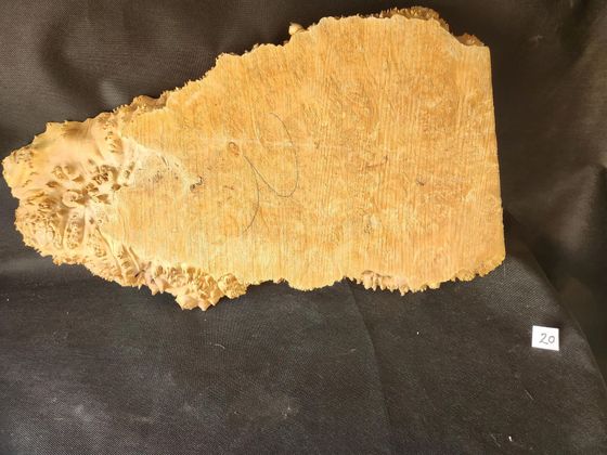 Maple Burl - Live Edge 
26