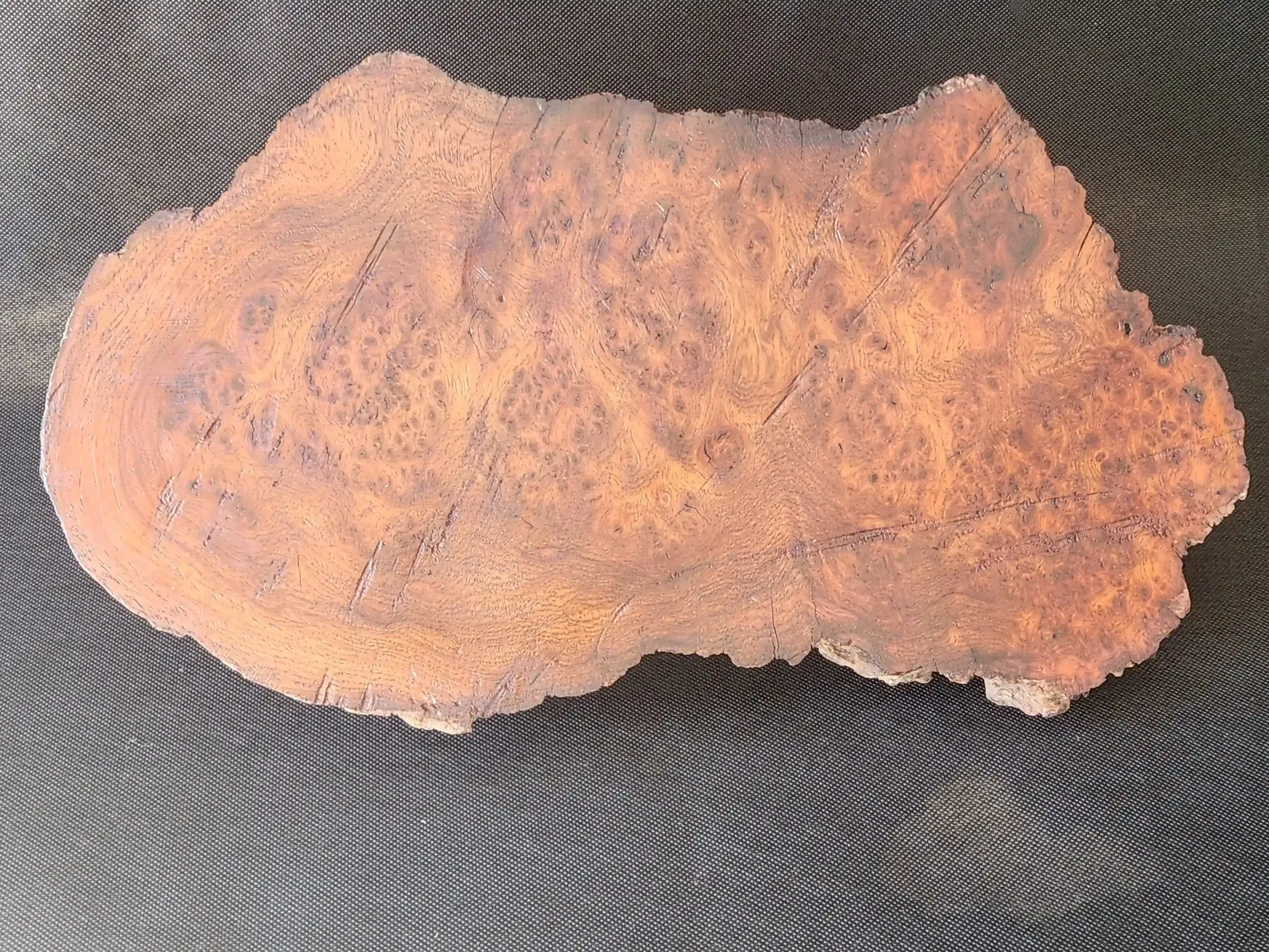 Amboyna burl wood slab showing intricate swirling grain