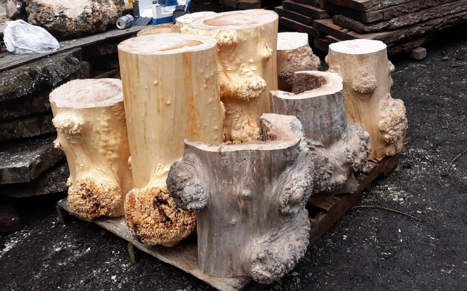 a selection of sustainably harvested exotic woods from Camwoods Importers