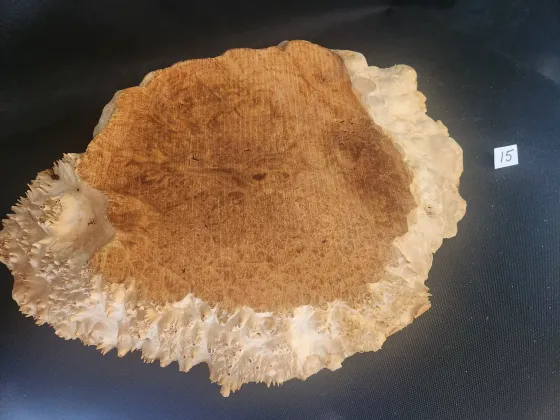 Maple Spalted Burl: Top 
13