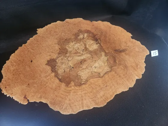 Maple Spalted Burl: Top 
13