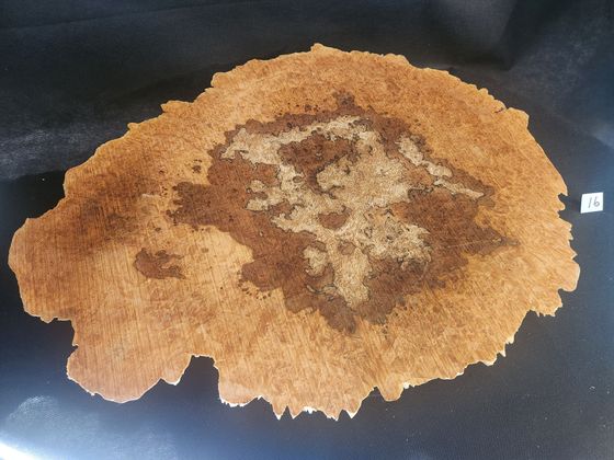 Live Edge Maple Spalted Burl
Top:
16