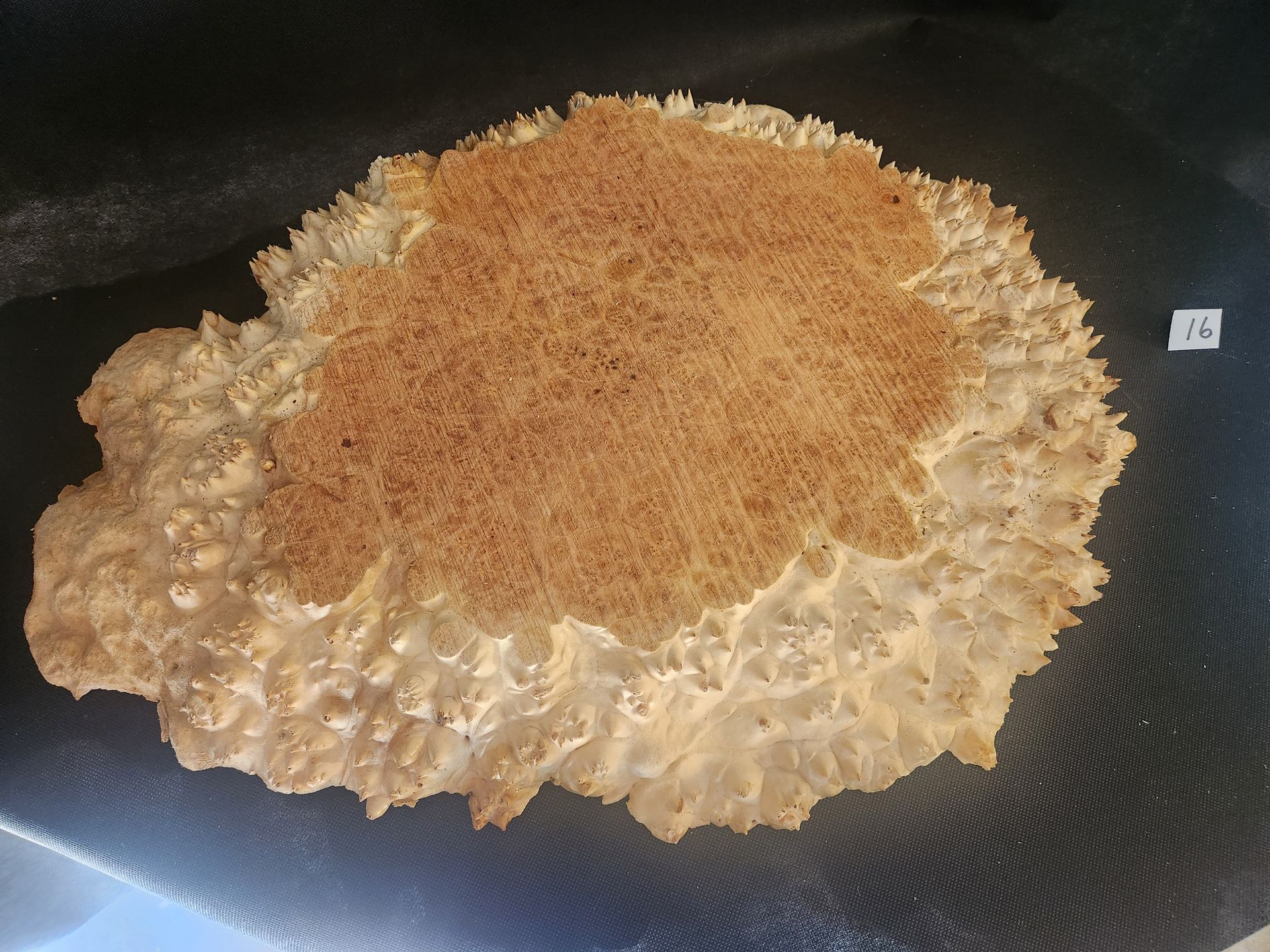 Live Edge Maple Spalted Burl
Top:
16