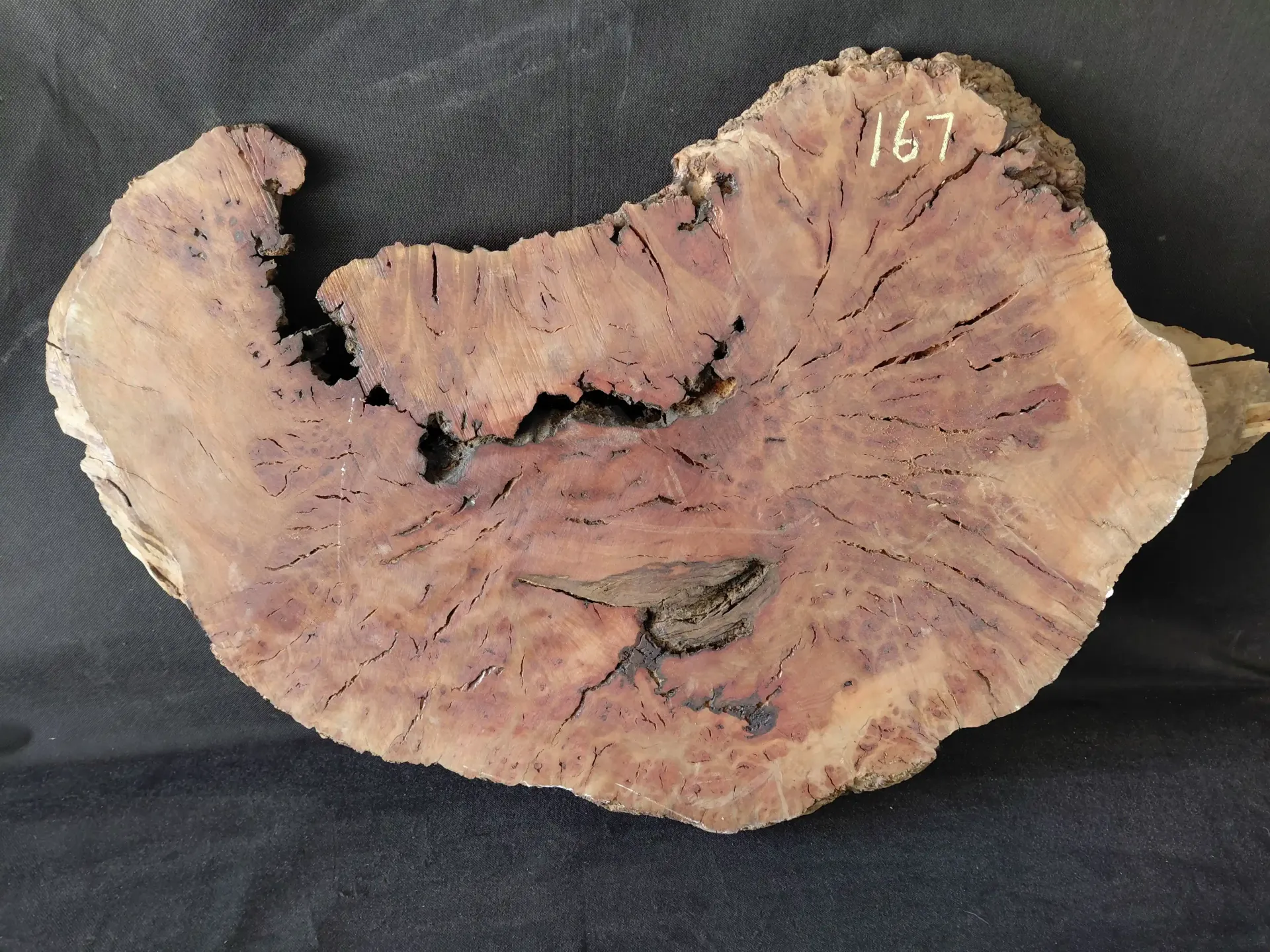 Madrone Burl 
35