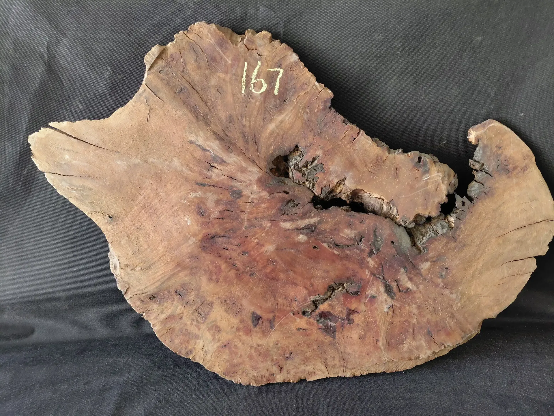 Madrone Burl 
35