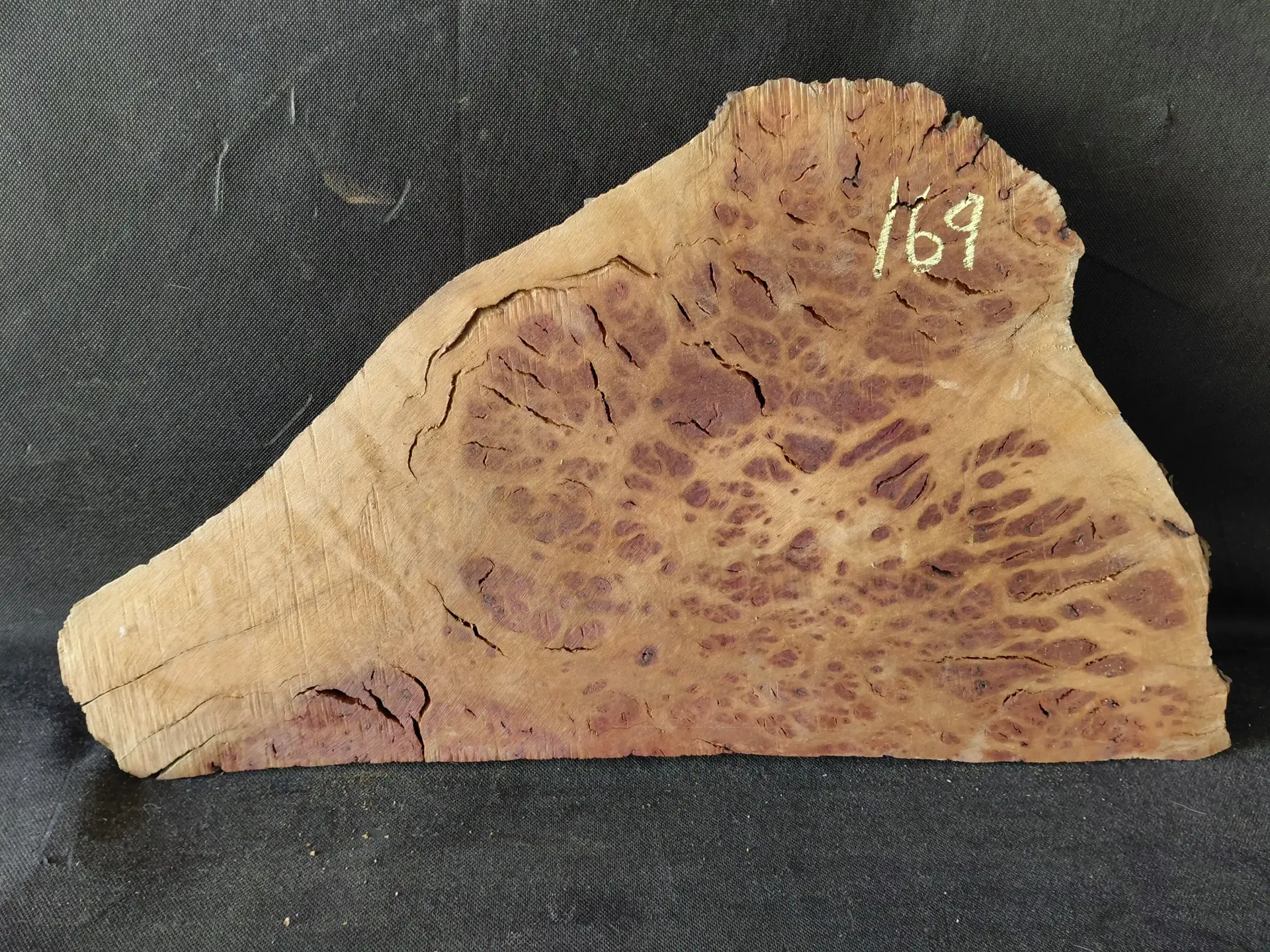 Madrone Burl
30
