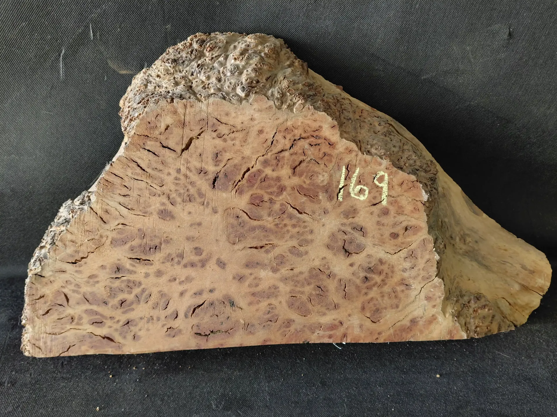 Madrone Burl
30