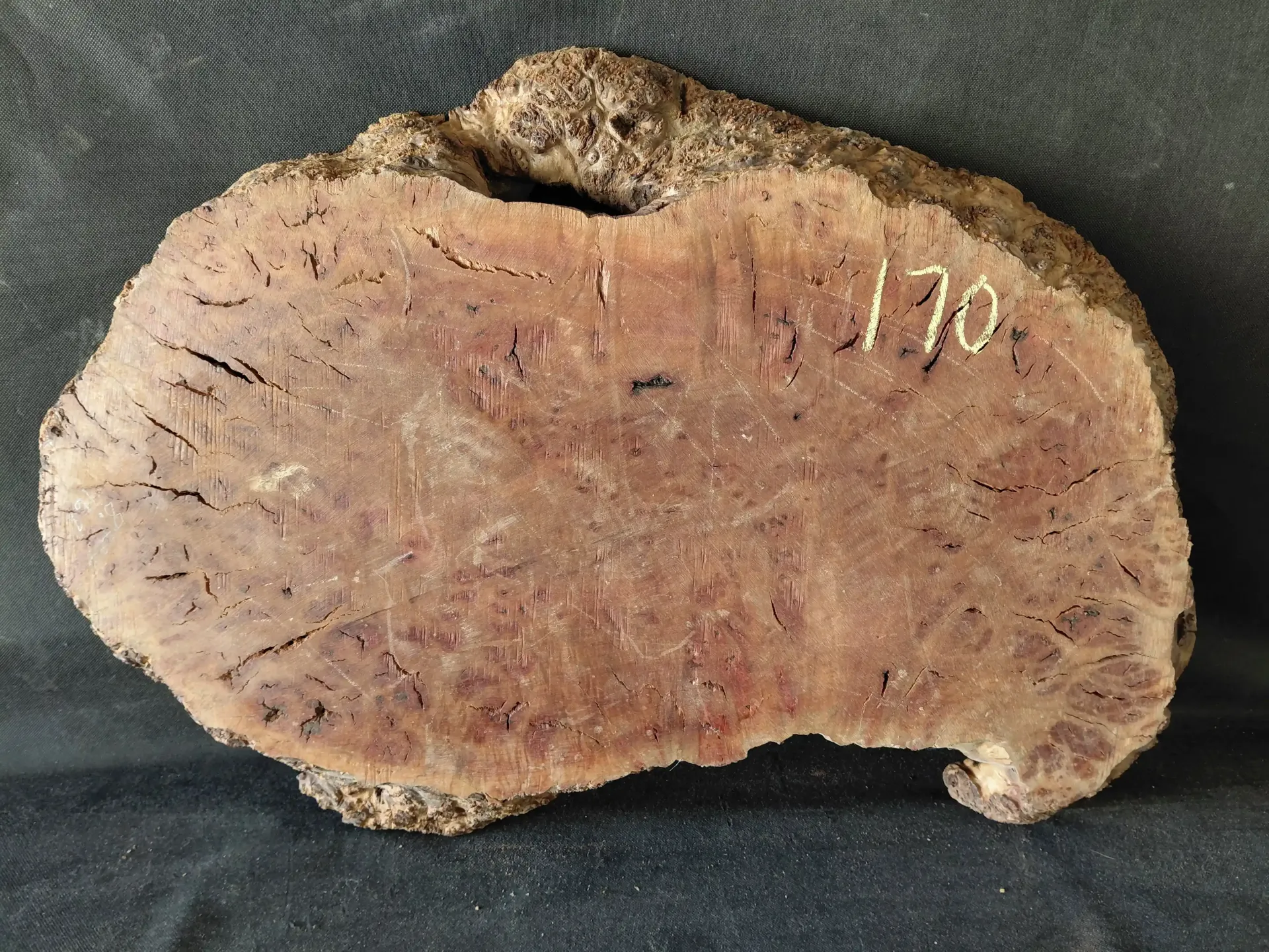 Madrone Burl Live Edge
29