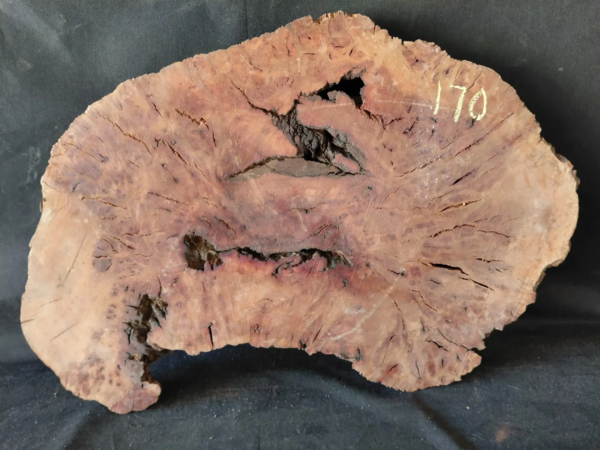 Madrone Burl Live Edge
29