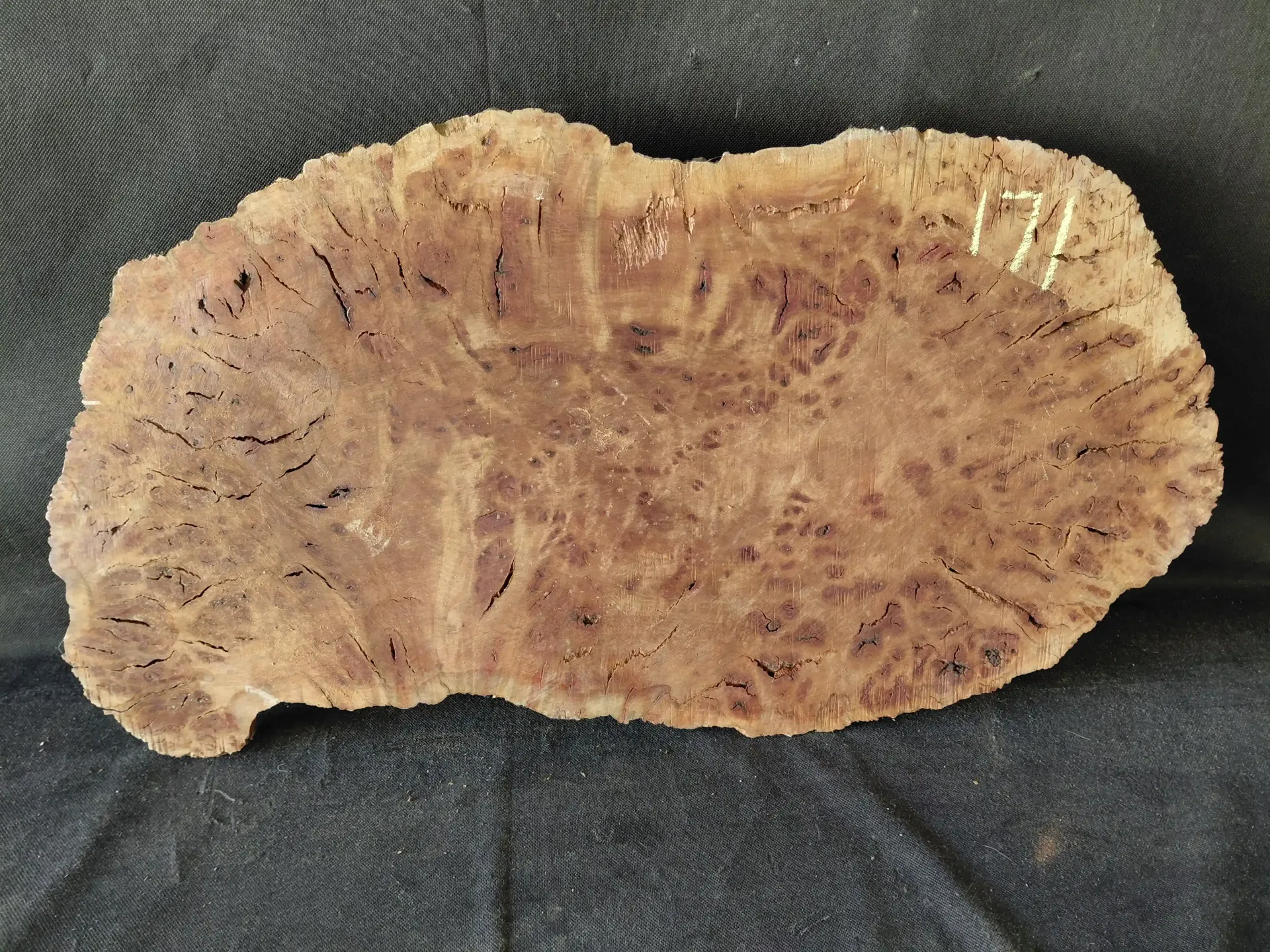 Madrone Burl Live Edge
28