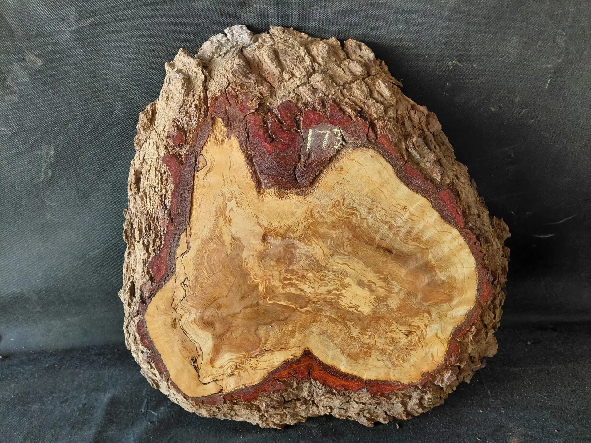 Oak Burl Live Edge
17