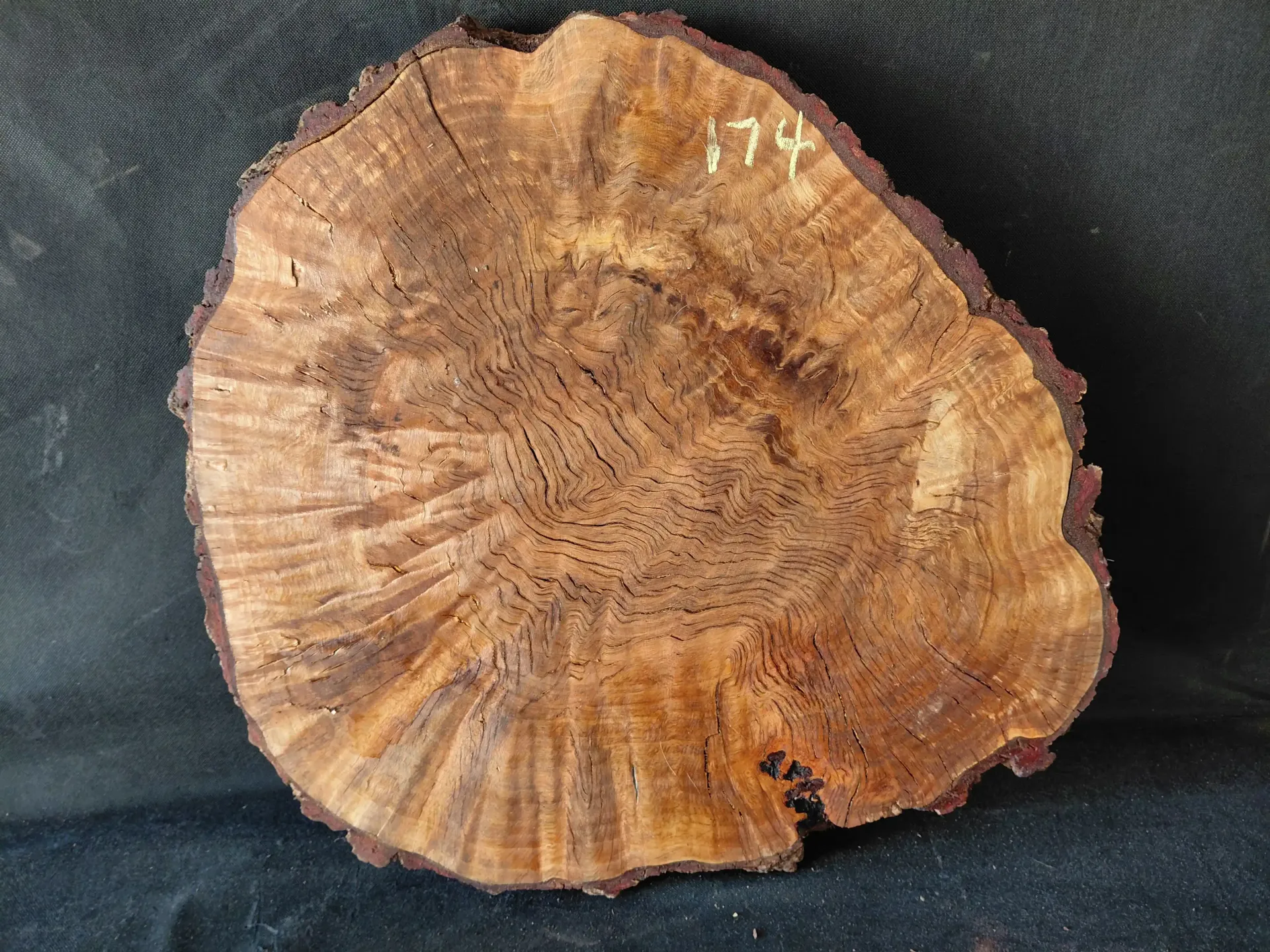 Oak Burl Live Edge
24