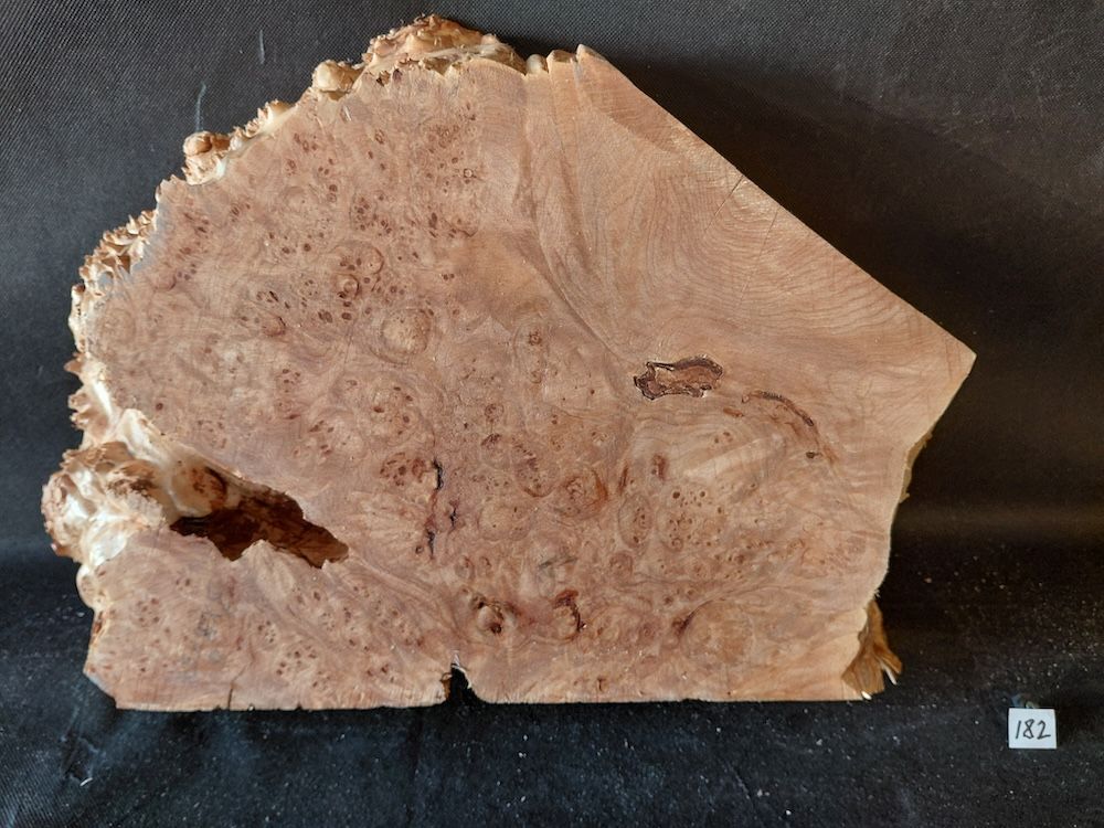 Maple Burl Half Live Roughly Planed 
17