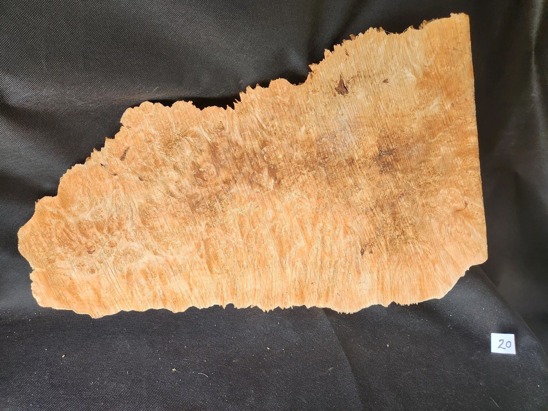 Maple Burl - Live Edge 
26