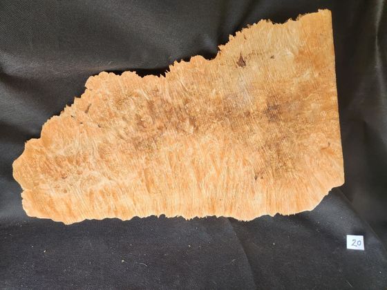 Maple Burl - Live Edge 
26