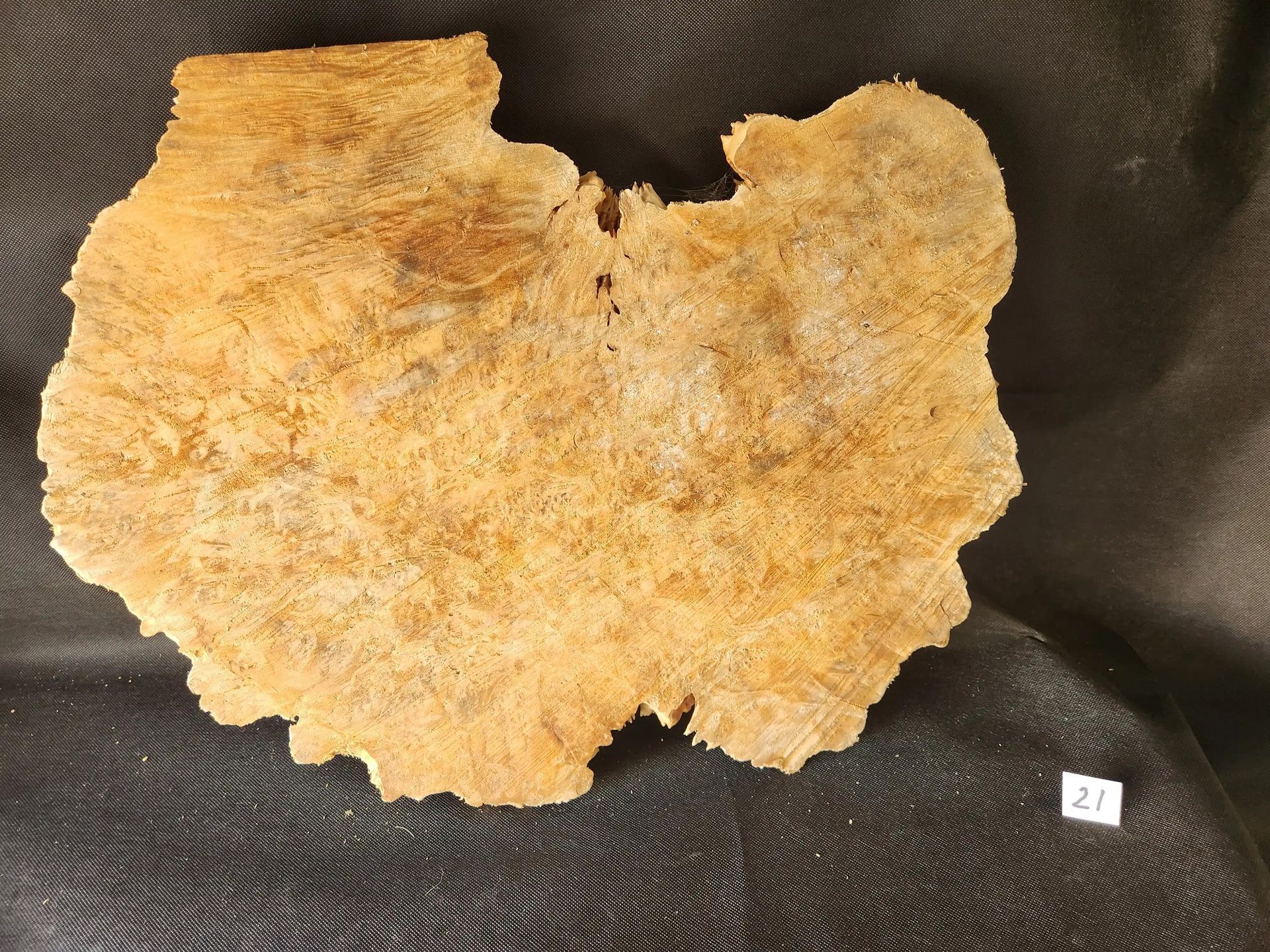 Maple Burl - Live Edge 
22
