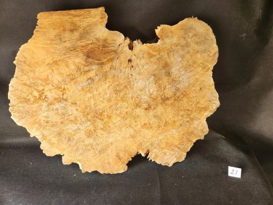 Maple Burl - Live Edge 
22