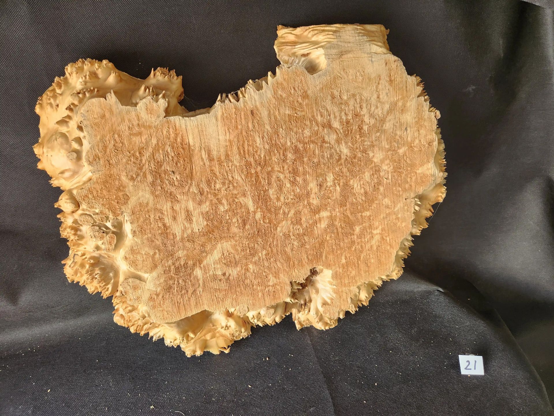 Maple Burl - Live Edge 
22