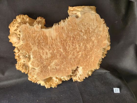Maple Burl - Live Edge 
22