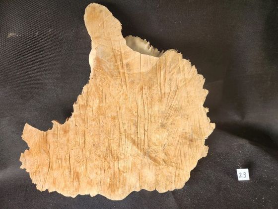 Maple Burl - Live Edge
15