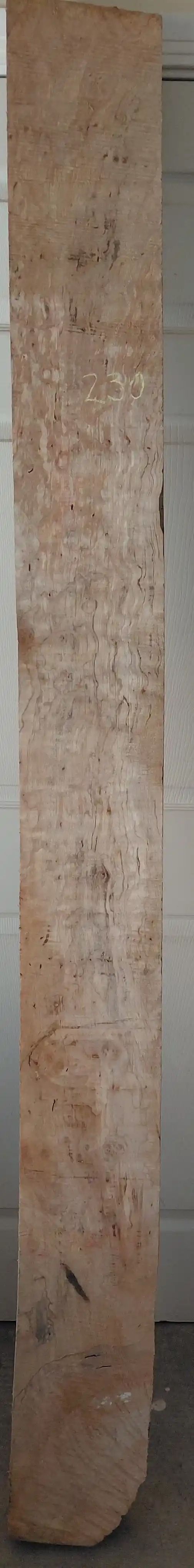 Spalted Maple Slab Cupped 
83