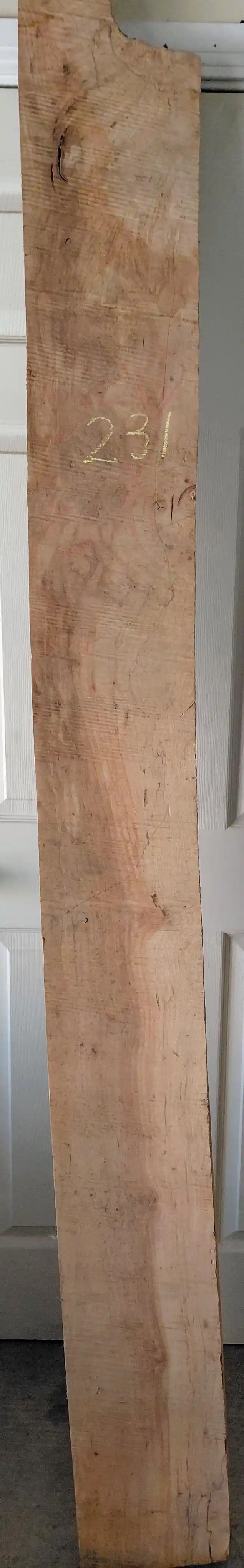 Spalted Maple Slab Cupped 
85