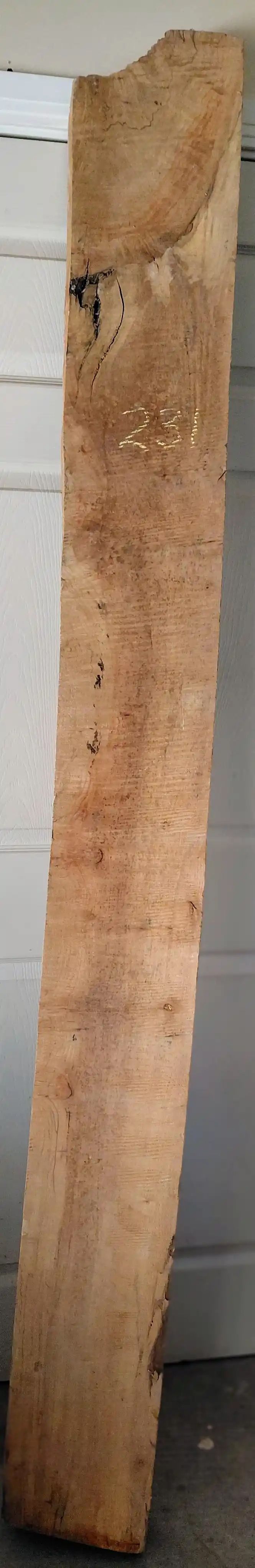 Spalted Maple Slab Cupped 
85