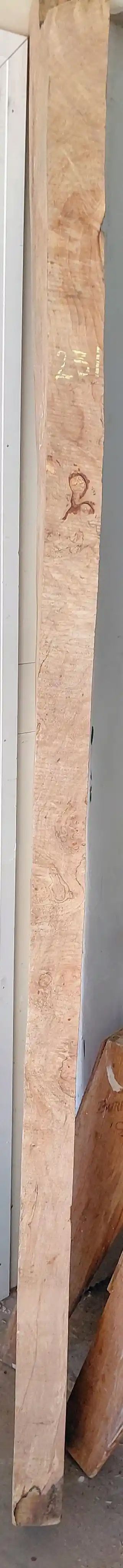 Spalted Maple Slab Cupped 
85