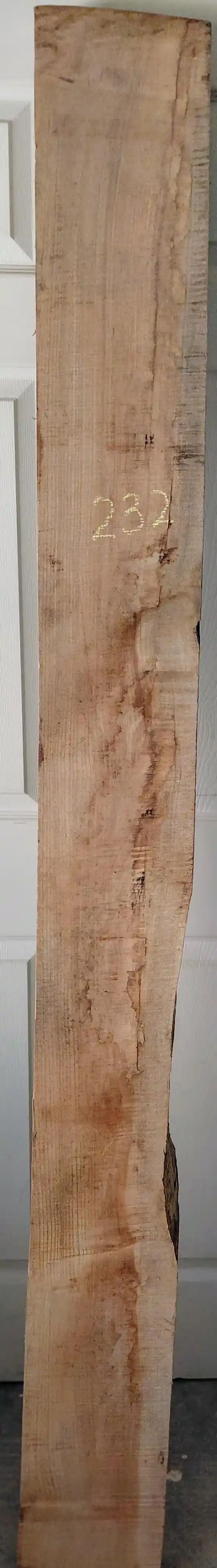 Spalted Maple Slab 
78.5