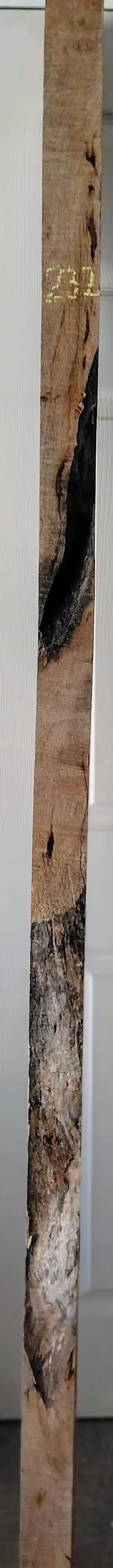 Spalted Maple Slab 
78.5