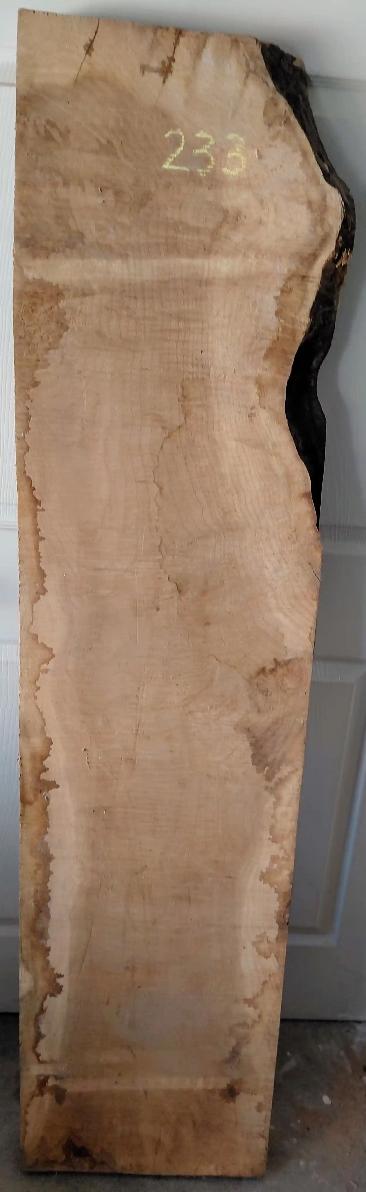 Maple Figured 
64