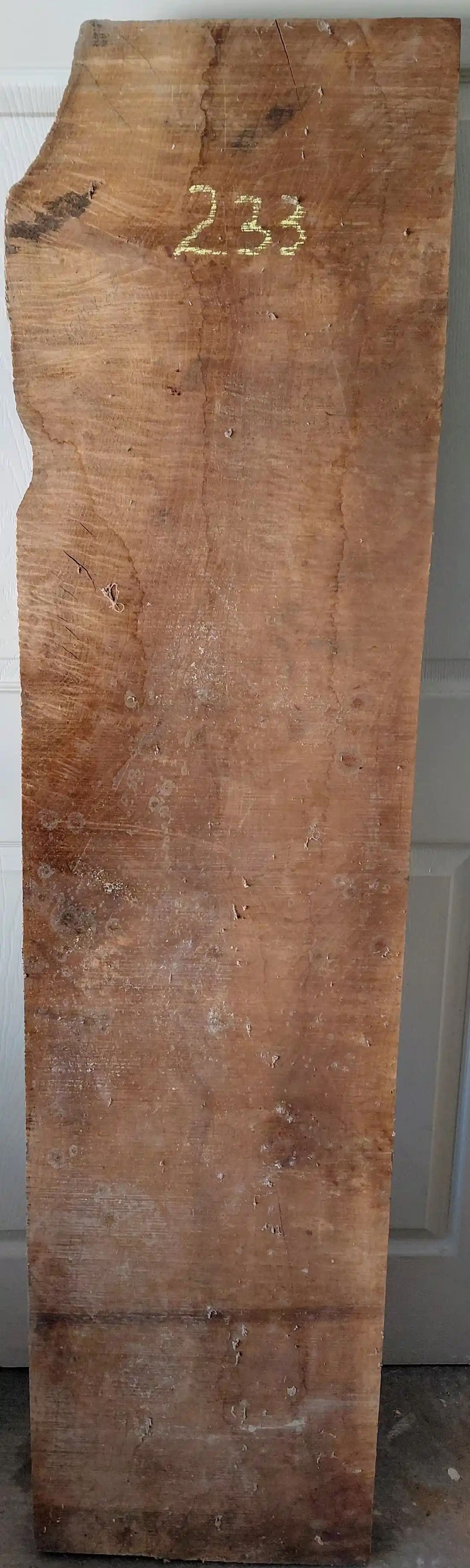 Maple Figured 
64
