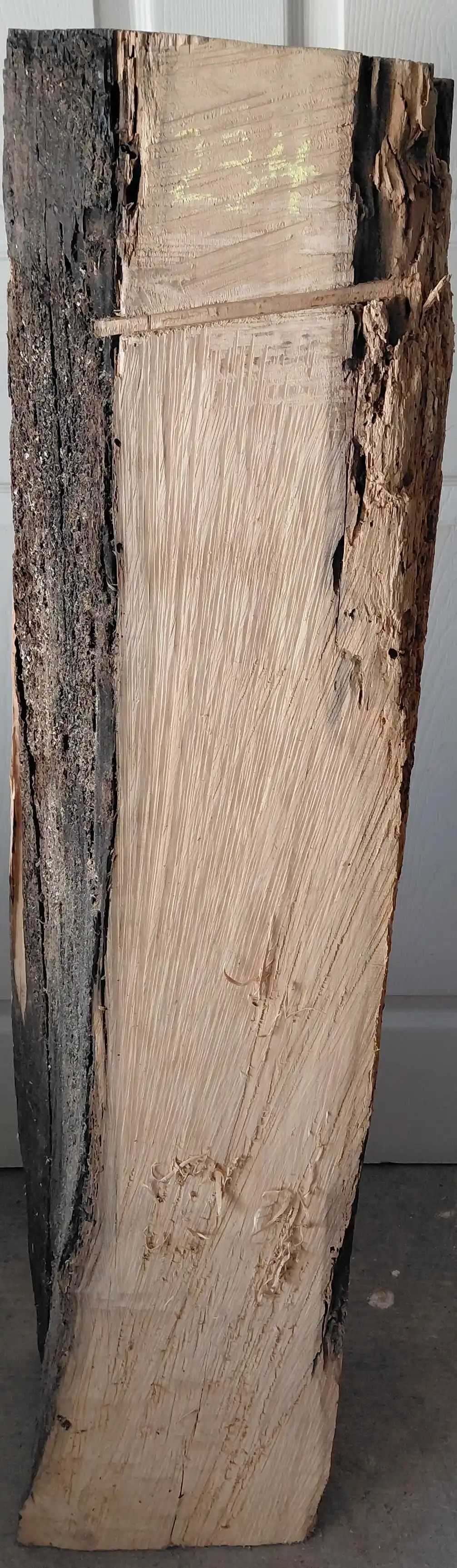 Cedar White Clear 
44.5
