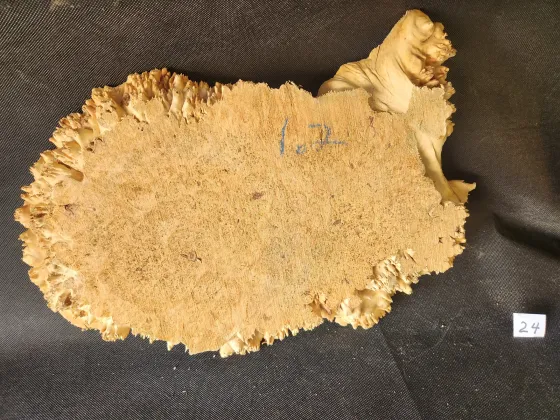 Maple Burl - Live Edge 
17