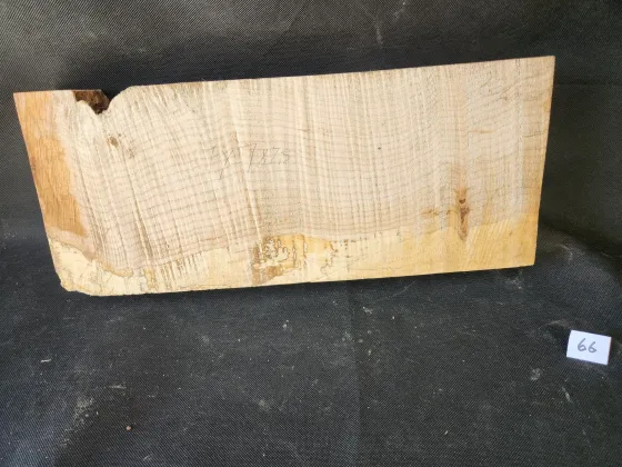 Spalted Figured Maple 
18.5