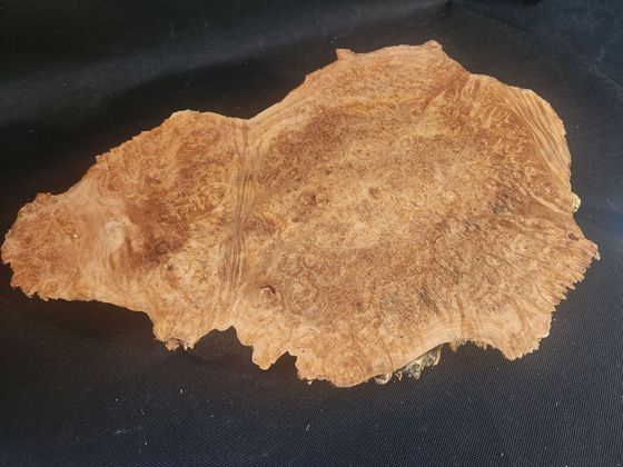 Maple Burl - Live Edge
17