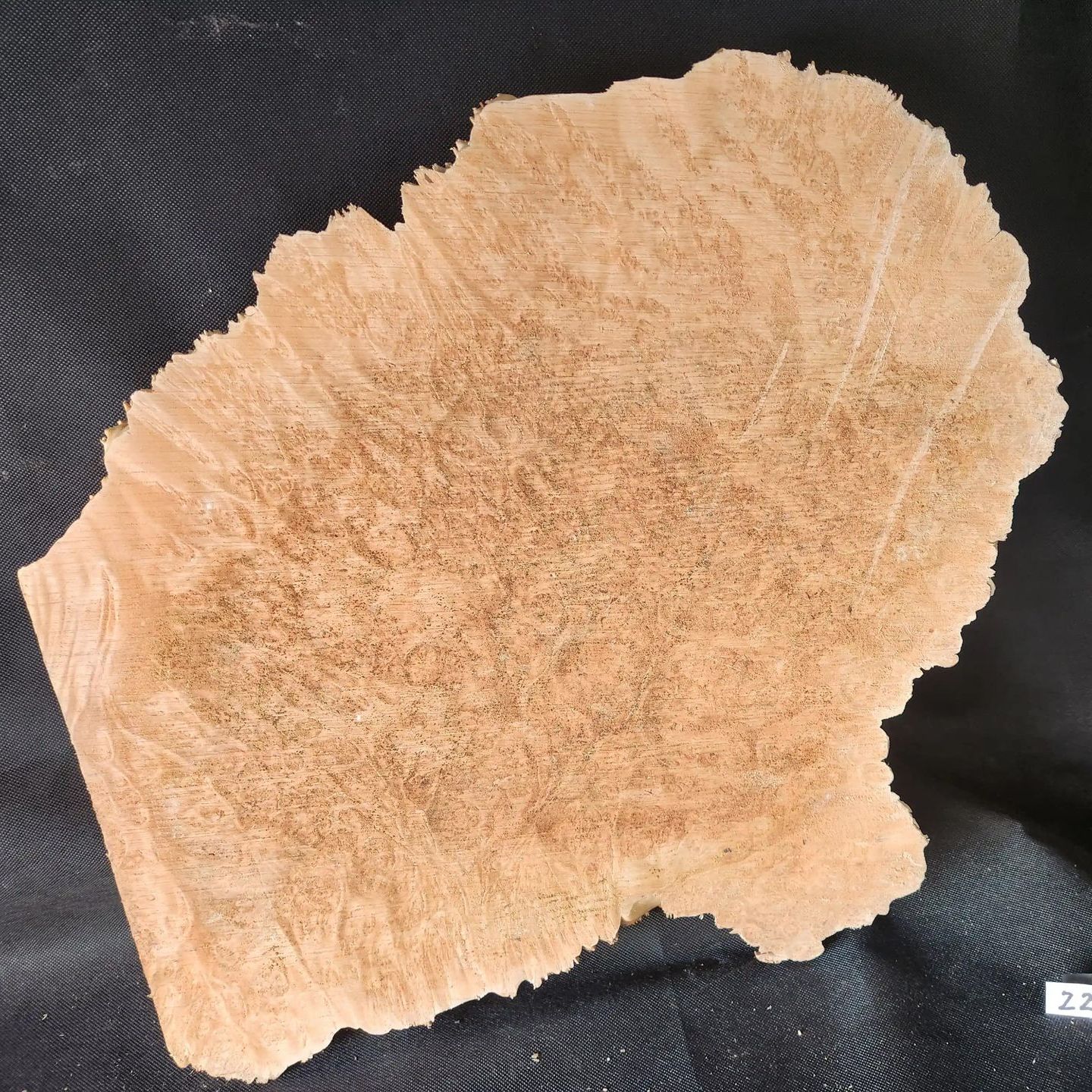Maple Burl - Live Edge 
20