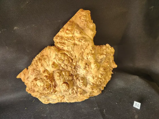 Maple Burl Cap 
16