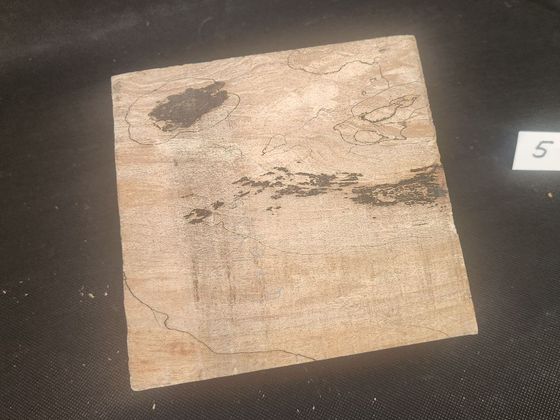 Spalted Maple 
6