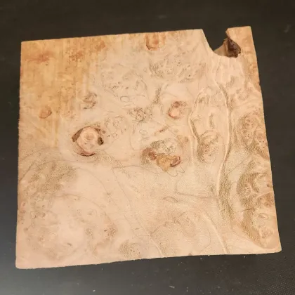Myrtlewood Burl 
6.5