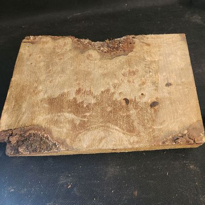 Myrtlewood Burl Block 
11