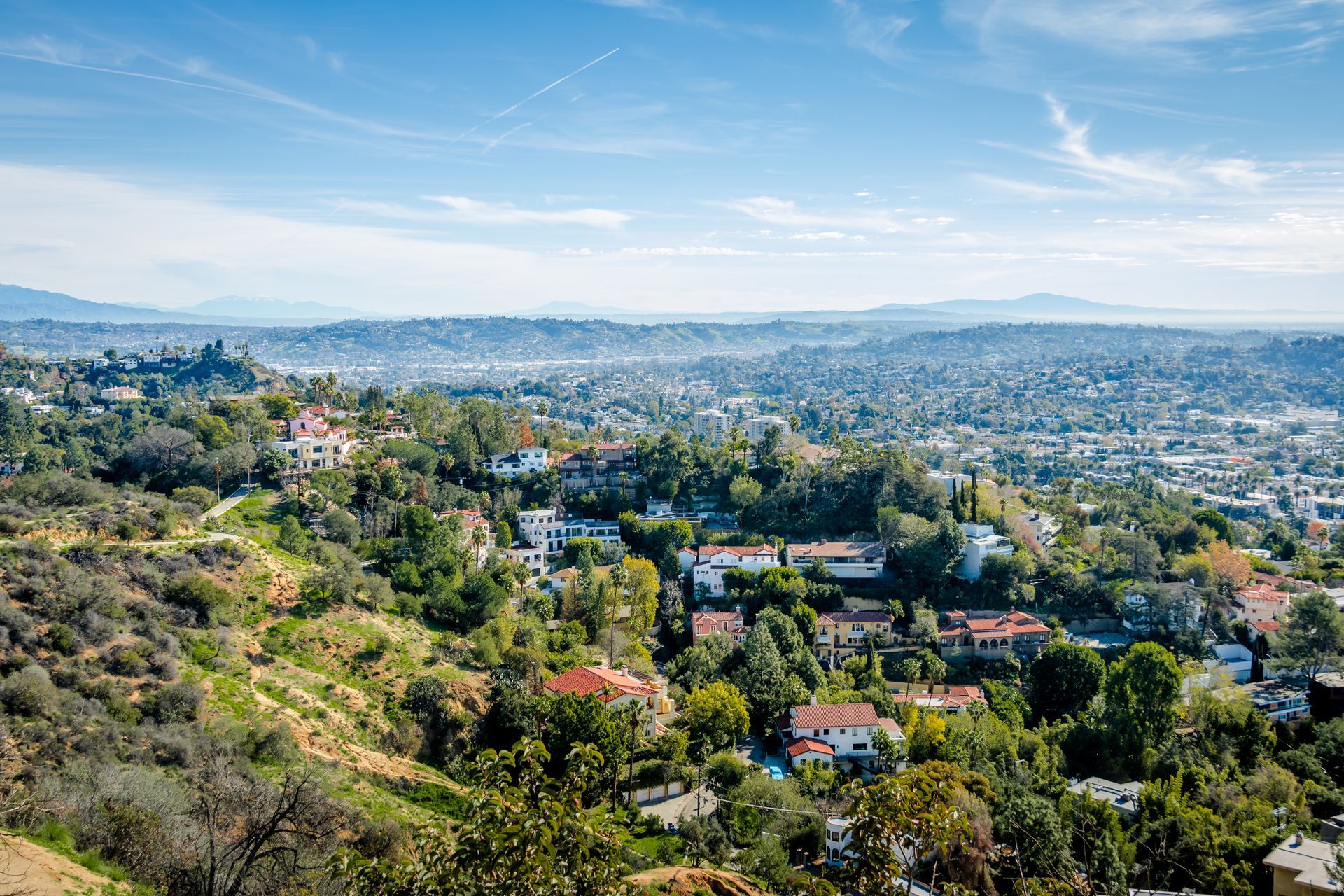 A hilly landscape of Los Angeles with houses nestled among trees, overlooking a sprawling city under a clear blue sky.