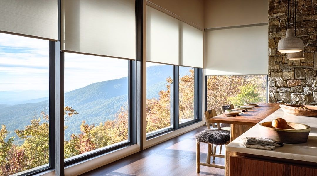 modern roller shades