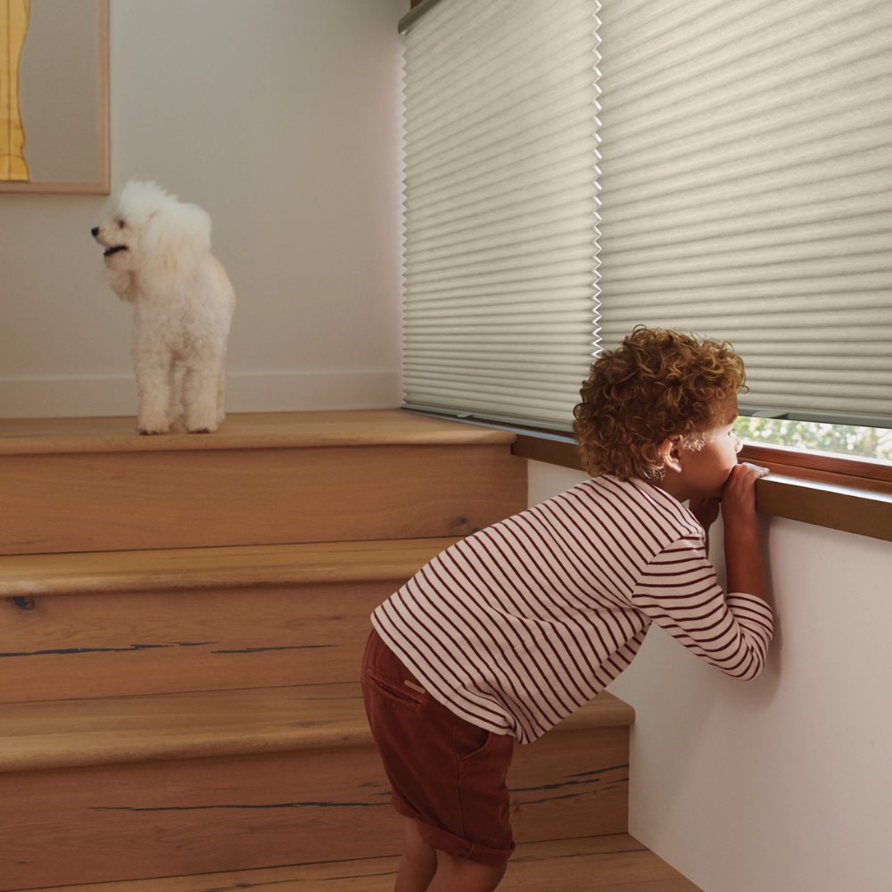 Child and Pet Safety