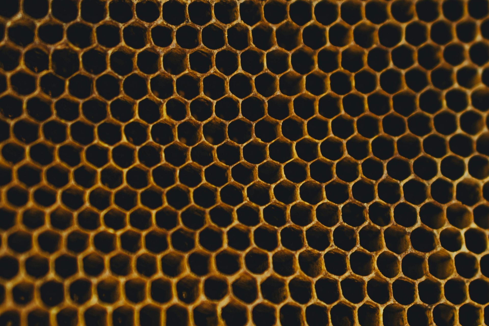 Close-up of a honeycomb structure with hexagonal cells, amber color, and dark background.